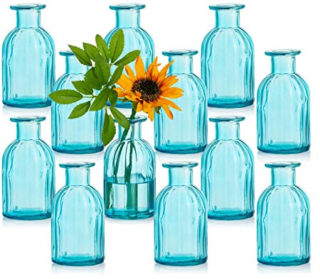 Glasseam Kleine Vasen Set Glasvase, 12 Stück Mini Blumenvase Blau Vintage Vase Glas Rund Glasvasen Flaschenvase Bunt Klein Geriffelte Tischvase Vasenset Glasflasche Deko für Hochzeit Tischdeko