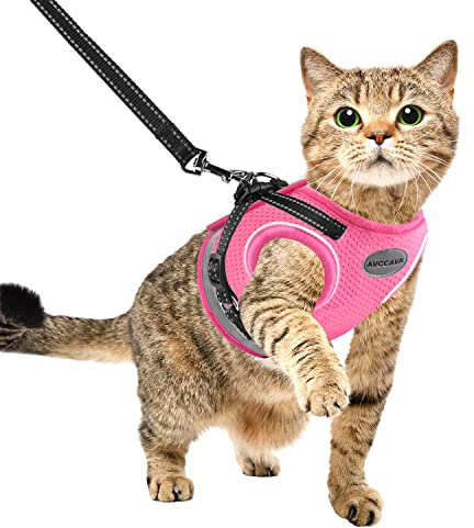 Cat Harness and Leash for Walking, Kitten Escape Proof Harnesses, Adjustable Reflective Puppy Harness with Leashes Set, Easy Adjustable Soft net Breathable Pet Safety Vest