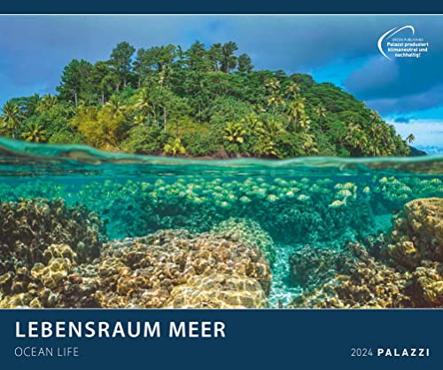 Calendario dell'habitat del mare 2024 – Calendario poster – 60 x 50: Ocean Life
