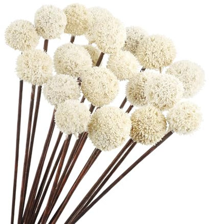 Larber 20PCS Natural Dried Craspedia Billy Balls Flowers Billy Ball Craspedia Bouquet Natural Dried Flowers Bouquet for Vase Floral Arrangements Wedding Table