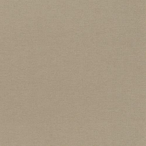 rasch Tapete 449815 aus der Kollektion Florentine II – Einfarbige Vliestapete in Braun – 10,05m x 53cm (L x B)