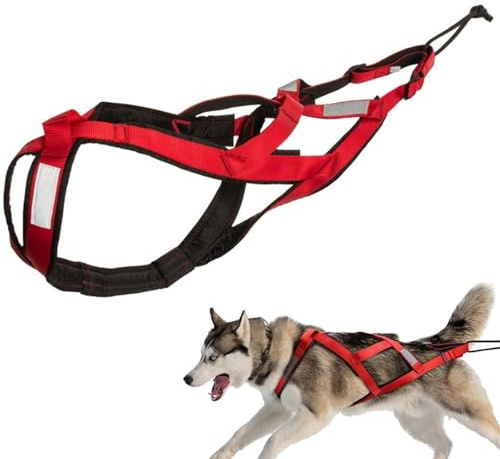 halkaount Pettorina for Cani | Ultra Robusto e Riflettente | Cintura Attiva for Cani da Slitta, Sport e Allenamento | Confortevole ed Eccellente(Rot,M)