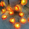 Artificial Fruit Theme Lemon Slice String Lights LED Orange Lemon Lanterns Lamp Fairy Hanging Light Battery Powered for Christmas Spring Autumn Harvest Party Decoration (Orange Lemon Slice, 6M/40LED)