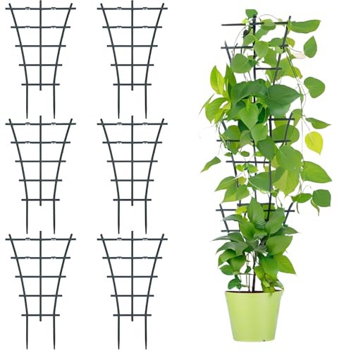 Lot de 6 tuteurs pour plantes d'intérieur - Durable - Résistant à la corrosion - Support pour plantes d'intérieur - Fleurs - Vignes - Forme d'éventail