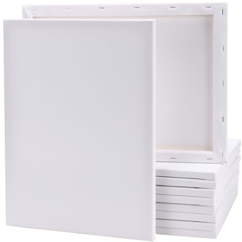 CHUEN 10 stycken 30 x 40 cm vit duk för målning, bomull på kilram av furu, konstnärsduk för konstnärer och hobbymålare