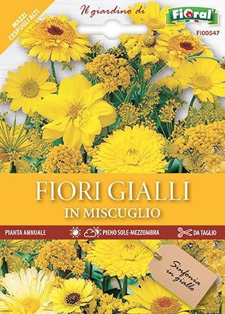 Semi Miscuglio di Fiori Gialli, Fioritura Abbondante, Mazzi di Fiore Gialli yellow flower seeds