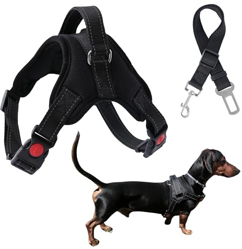 Arnés Perro pequeño antitirones Acolchado y Ajustable – Control sin dañar Cuello – Ideal para Paseo Diario y Coche – Arnés antiescape con cinturón de Seguridad