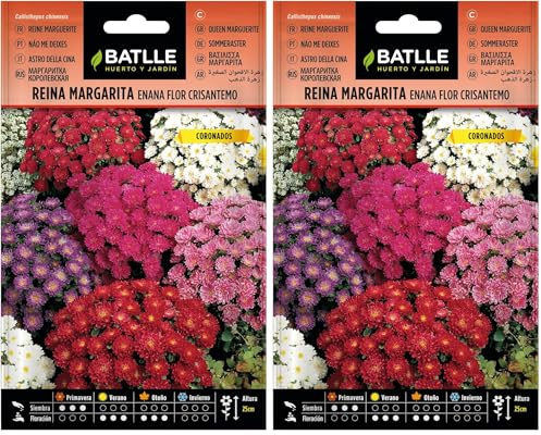 Batlle - Semi di Fiori - Astro della Cina Nano Crisantemo, Assortiti (Confezione da 2)