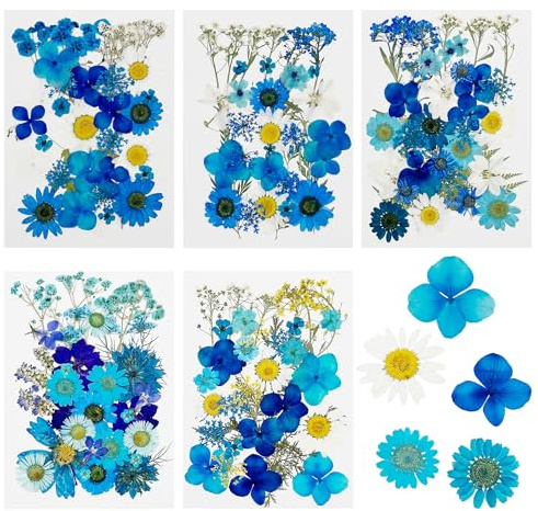 Cayway 170 Stück Natürliche Getrocknete Blumen, Getrocknete Gepresste Blätter, Natürliche Trockene Blätter mit Pinzette, Schere für DIY Harz Schmuck Nail Crafts Art Blumendekoration, Blau
