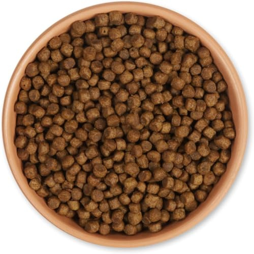 CJ Wildlife Igelfutter 1kg – Igelfutter Trockenfutter – Kraftfutter für Igel – Trockenfutter zur Überwinterung und Wildfütterung