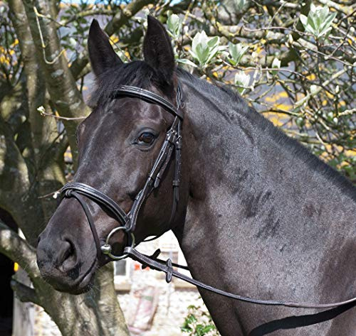 Rhinegold Elegance Stitched Flash Bridle-Full-Black