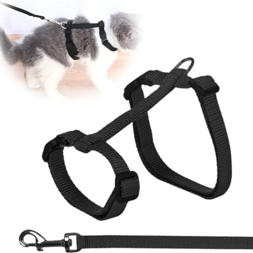 Fc'Noqgn Harnais pour Chat avec Laisse, Harnais réglable en Nylon, Laisse pour Chat et Lapin