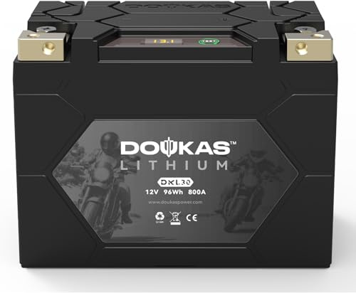 DOUKAS DKL30 800A LiFePO4 Motorcycle Lithium Battery, 12V 8Ah Powersports Batteries, Compatible Jet Ski, ATV, Lawn Mower, Snowmobile