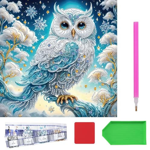 XRVRILE 5D Diamond Painting Gufo 25 x 25 cm, Diamond Painting Animali per adulti, set di diamond painting con attrezzi, piccolo diamond painting fai da te per principianti e relax
