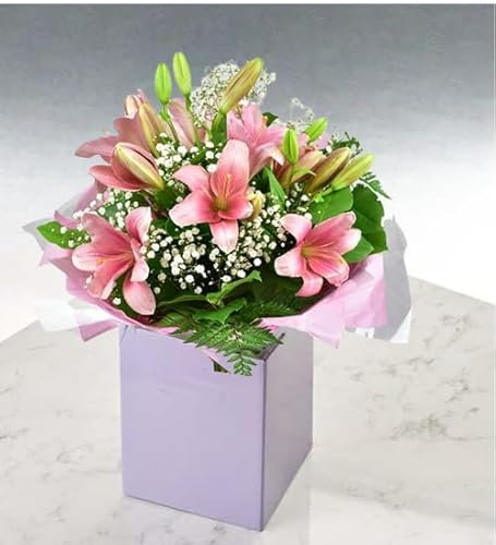 Splendid Pink Lilies Fresh Flower Bouquet Arrangement in Gift Bag for Birthdays, Weddings, Anniversaries, Indoor Decoration, Cut Floral Occasions