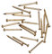 OMOTOOL Iron Brass Plated Nails(300 pcs),Round Head Nails (20MM)
