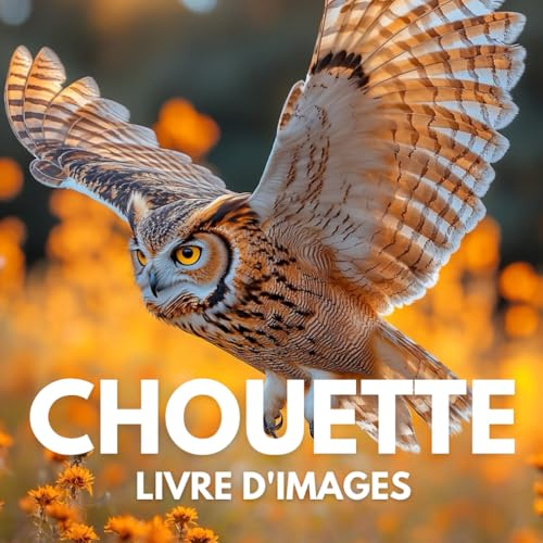 Livre d'images sur les chouettes: 100 magnifiques photos pour découvrir la beauté des chouettes.