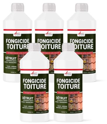 Fongicide, anti dépôt vert, concentré, pour terrasse, et sols, élimine, algues, et lichens, anti-mousse - 5 L (5 x 1L) - ARCANE INDUSTRIES