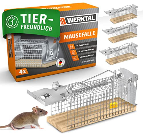 WERKTAL Mausefalle lebend - Hochsensitive Lebendfalle Maus [4er Set] - Tierfreundliche Hygenische Mäusefalle mit Doppeltür - Einfache Köderfixierung - Wiederverwendbare Rattenfalle lebend