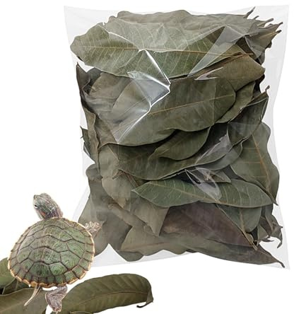 Mppchhn de Hojas para Reptiles, Suministros Naturales para Mascotas, Hoja de de Tortuga, para Ranas, Peces, camarones, Tortugas, lagartos, Animales pequeños, hogar, Interiores y Exteriores