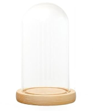 Glasklocka för display, Glasklockburk med träbas i flera storlekar(65 * 80MM)