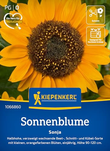 Kiepenkerl Sonnenblumensamen Sonja 1066860 - Halbhohe, verzweigte Sorte für Beet & Kübel mit leuchtend orangenen Blüten - Wildblumensamen, Blumenwiese