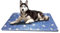TILZ GEAR Dog Cooling Mat - Dog Cooling Pad With Durable Non-toxic Gel - Pet Cool Mat For Dogs, Cats, Crate - Help Your Pet Stay Cool This Summer, Ideal For Home & Travel (XL 90 x 60 cm)