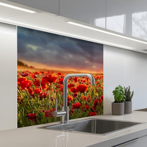 KitchenYeah© Credence Cuisine 80x80 cm Adhesif Protection Mur Plaque De Cuisson Plastique Rigide Revetement Murale À Coller Coucher soleil - Coquelicots - Rouge - Fleurs - Champ - Nature