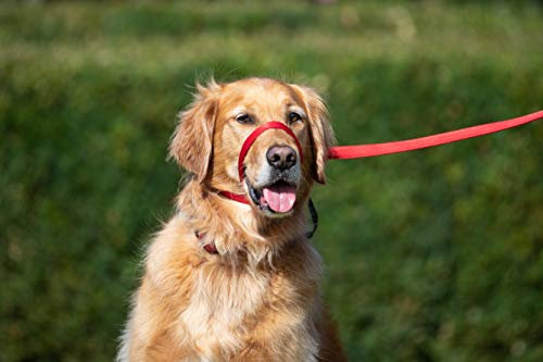 UniWalker Figure of 8 Dog Training Lead For Dogs That Pull. Soft, Padded.& Comfortable. 3 uses in 1 lead. Red