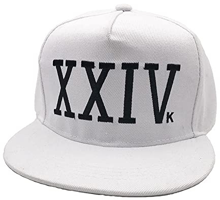 XXIVk 24K Baseball Cap - Embroidered Flat Brim Snapback Adult Hat - Music Icon Costume Great for Everyday Wear, White, One size