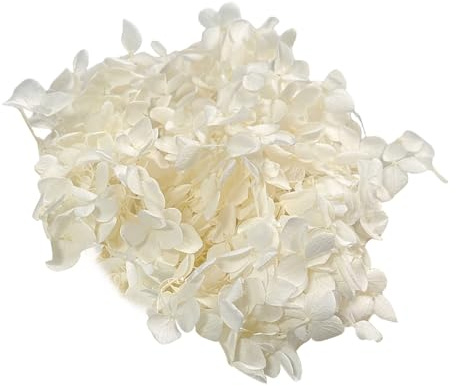 Gkhlg pack of 1 Dried Flower Hydrangea Natural Decorative for Cake Cupcake Decorating Craft Projects Dry Flowers for Decoration for Bakers Party Planners DIY Enthusiasts (White)