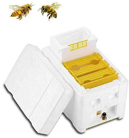 Caja de Apicultura, Marcos de Colmena, EPS, Colmena de Abejas Rey Caja de PolinizacióN, Equipo de Apicultura, 24 x 14,8 x 16,5 cm