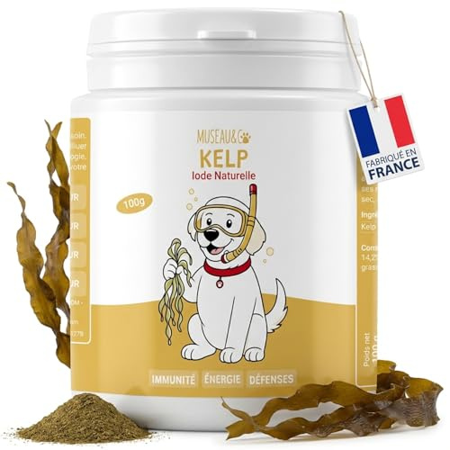 Kelp-pulver för hundar och katter - 100 % naturligt kosttillskott - rikt jod och mineraler - ökar immunförsvaret - stöd för sköldkörteln - 100 g
