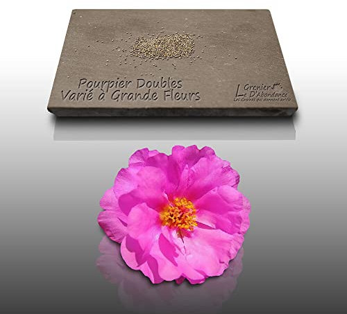300 graines de Fleurs à semer - Le Grenier d'Abondance - POURPIER Double - Portulaca grandiflora