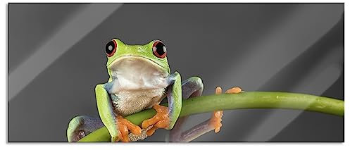 Pixxprint Glasbild Panorama, Wandbild aus Echtglas, Baum-Frosch auf Bambus, 100x40 cm, inkl. Aufhängung und Abstandshalter