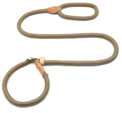 Tadipri Hundeleine mit Hundehalsband - Führleine für Hunde - Nylon mit Hundehalsband - 1,8m verstellbar für kleine mittelgroße Hunde