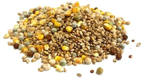Mixed Pigeon Corn 5kg Premium Quality Bird Food