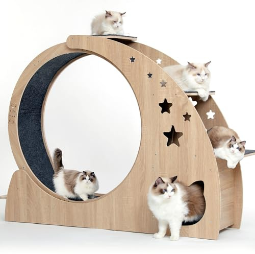 5-in-1 Cat Wheel,Cat Exercise Wheel,41.3 High Large Cat Wheels for Indoor Cats,Cat Treadmill Running Wheel for Indoor Cats with Silent Wheel,Cute Furniture Toys