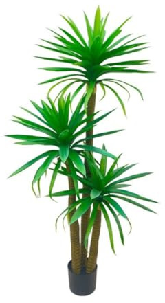 Gerimport Planta Yuca x 3-180cm
