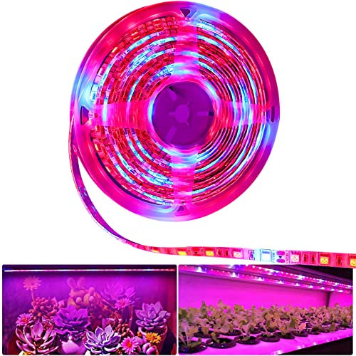 Tesfish LED Pflanzen wachsen Streifen Licht DC 12V IP65 Wasserdicht Vollspektrum SMD 5050 rot blau 5: 1 Seil Licht für Aquarium Gewächshäuser Pflanze