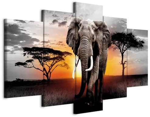 murando - Akustikbild Afrika 5 tlg - Bilder Akustikschaum Schallschutz Wand Deko Kunst Akustikpaneele Wandpaneele Schalldämmung Wandbild Schallabsorber Akustikplatten Tier Elefant g-C-0054-b-o