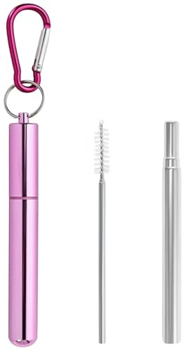 Foweroty Collapsible Metal Straws, Travel Drinking Straws with Case, Keychain and Cleaning Brushes, Cruise Essentials（1 Pack, Pink）