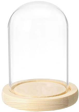 PATIKIL 4.7x3.1 Transparente Campana Cristal Cúpula, Vidrio Campana Tarro Expositor Estuche Mesa Centro con Madera Base para LED Luz Plantas Hogar Decoración