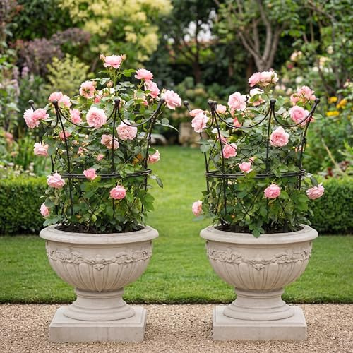 BreezeHug 2 Pcs Large Obelisk Trellis for Plant Supports Peony Cage Garden Obelisk Durable Metal Garden Support Cage for Climbing Plants Outdoor Indoor, 18.5 in x 22.9 in