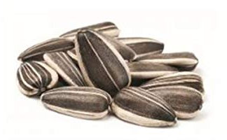 Sementi Dotto Semi di Girasole Striato Medio 500g Mangime per Uccelli