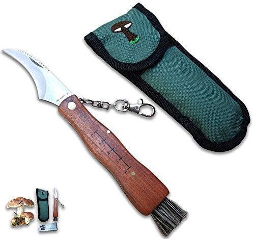 CUPERINOX Coltello a Funghi, Coltello per Funghi, Coltello da Funghi, Coltello da Fungo, in Acciaio Inox, con Custodia, Coltello Incluso, Coltello micologica