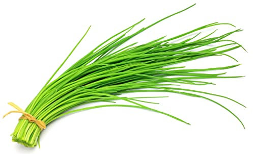 Semillas de Cebollino DECOALIVE Semillas Allium Schoenoprasum Fáciles de Cultivar