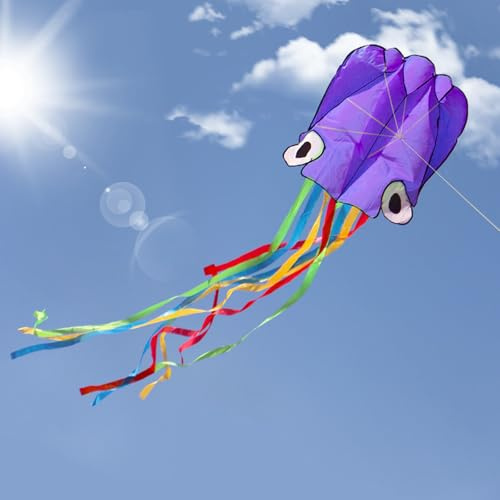 Cometas para Niños, panemy Cometa para Playa con 8 Colas Coloridas, Pulpo | Kites for Kids Ages 4-8 Easy to Fly, Juegos al Aire Libre para Niños, Fáciles de Volar, para Adultos, Infantil