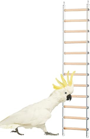 Trätrappsteg, fågelstege – nymfkakaduelburtillbehör | Conure burstativ tillbehör | träningsstege klättringsleksaker med 360° roterande för parakiter, papegojor, kakadua och kärleksfåglar
