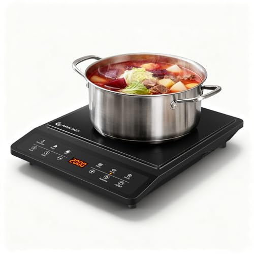 AMZCHEF Placa Inducción, Portátil Placa de Inducción, 20 Ajustes de Temperatura y Potencia, Diseño Delgado con Diversas Teclas de Función, Control por Sensor, Timer 3H.